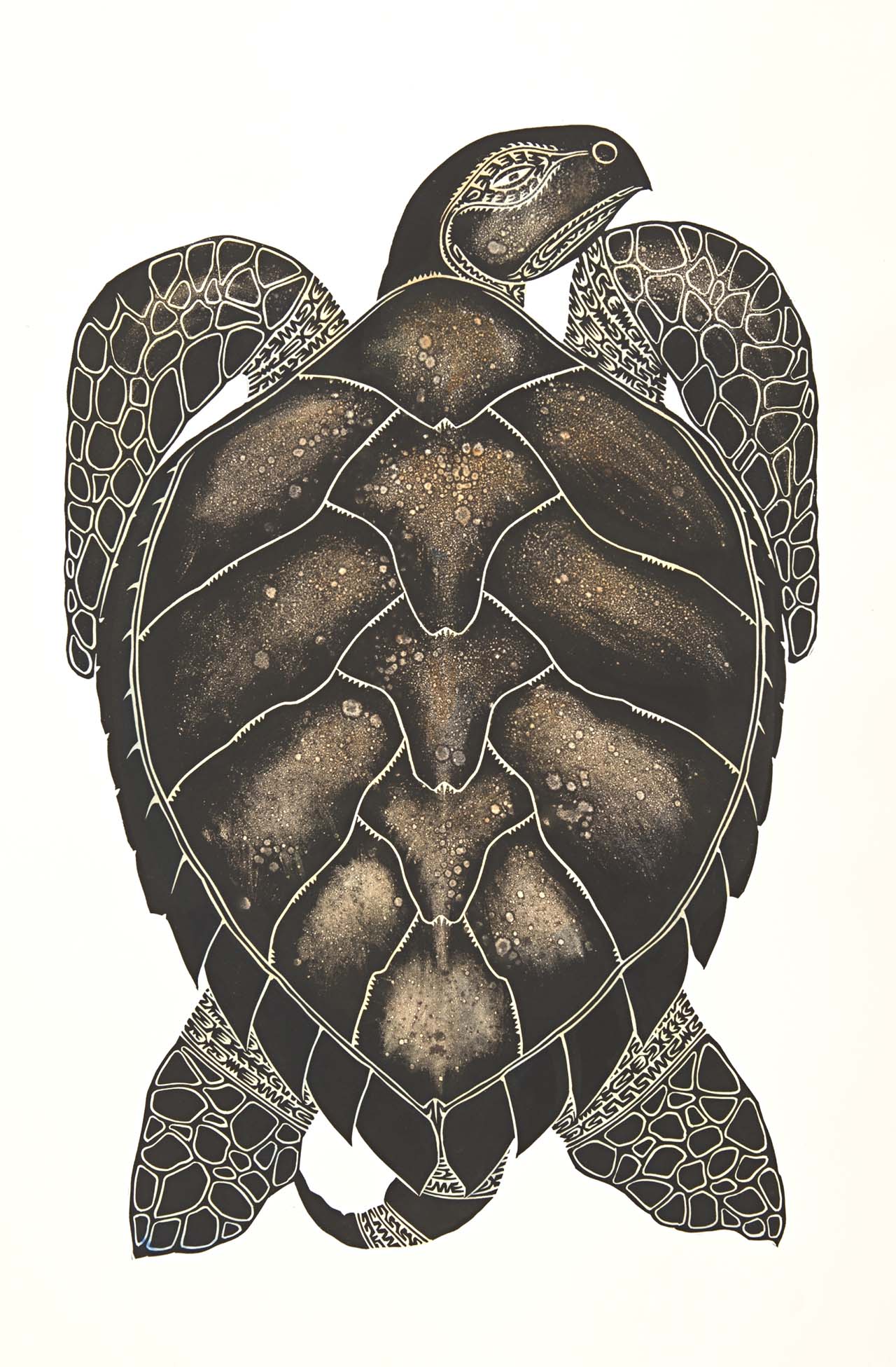 Image Result For Aboriginal Art Turtle Aboriginal Art Aboriginal | My ...