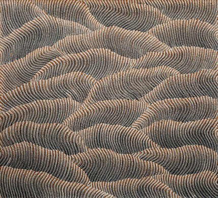 Tali – Sand Dunes by Maureen Nampijinpa Hudson              