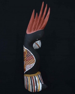 Cockatoo by Thomas Munkanome