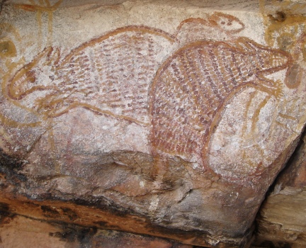 Kimberley Rock Art - Kangaroos