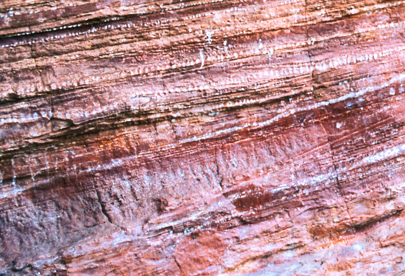 Aboriginal rock art, located west of Kununurra - Tourism Western Australia