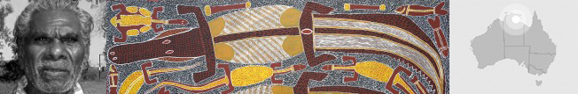 Djambu Barra Barra Aboriginal Artist