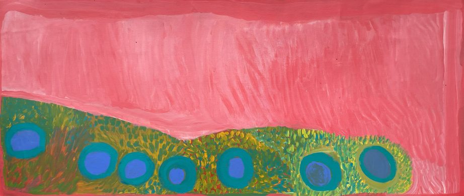 Waterholes around Kirriwirri by Nada Rawlins