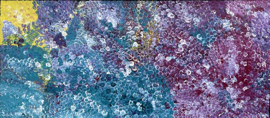Bush Plum Dreaming by Belinda Golder Kngwarreye