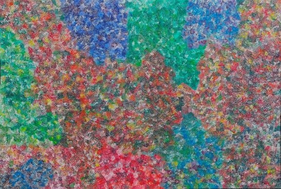 Bush Plum Dreaming by Belinda Golder Kngwarreye