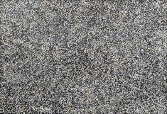 Yam Seed by Roseanne Pwerle Morton