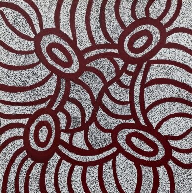 Brush-tail Possum Dreaming – Mawurrji by Judith Nungurrayi Martin