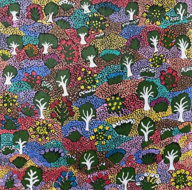 Bush Medicine in Spring by Annette Nungala Peterson