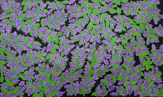 Bush Flower Dreaming – Jinjirla Jukurrpa by Robyn Payton/Herbert