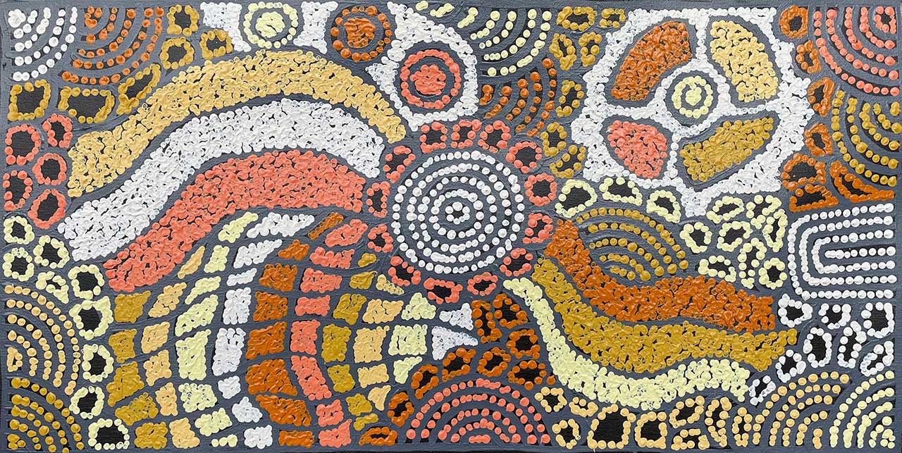 Nellie Marks Nakamarra - Artist Bio & Artworks - Japingka Gallery