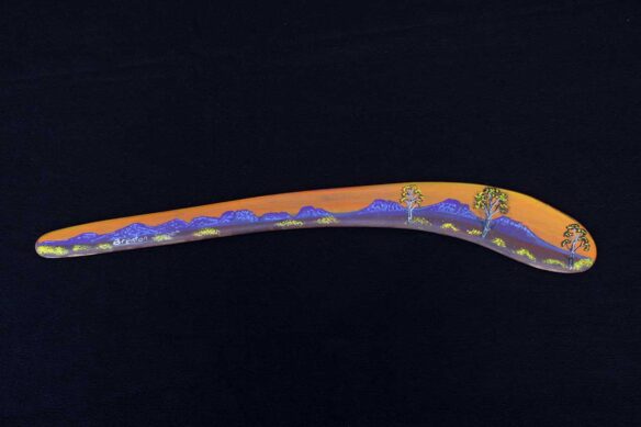 Painted Boomerang by Brenda Singer and Errol Evans