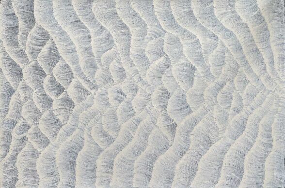 Tali Sand Dunes by Maureen Hudson Nampijinpa