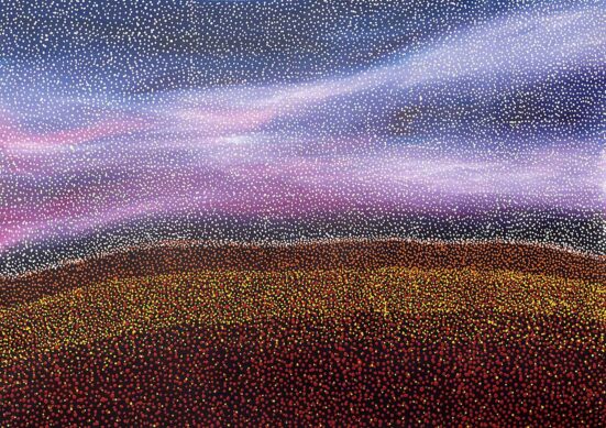 Gascoyne Wildflowers by Sonya Edney