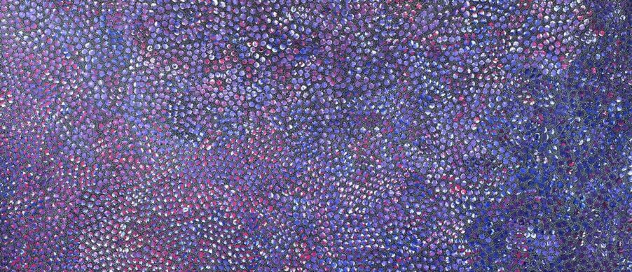 Pencil Yam Seed by Eileen Bird Kngwarreye