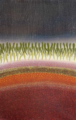 Rain Gascoyne River by Sonya Edney