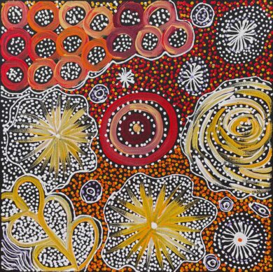 Bush Yam – My Country by Janet Golder Kngwarreye