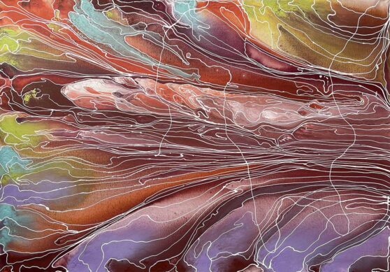 Pantu Salt Lakes by Janice Stanley