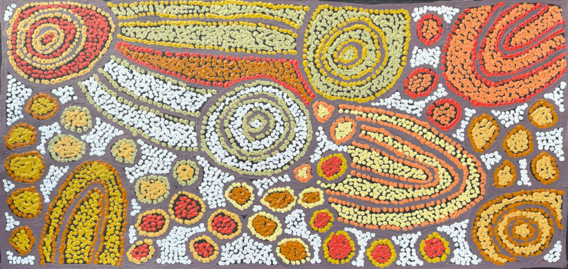 Tjintjintjin by Katherine Marshall Nakamarra