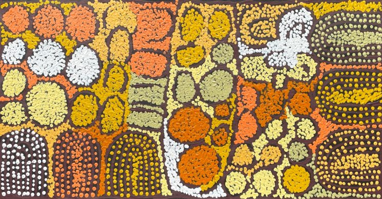 My Country by Winnie Reid Nakamarra