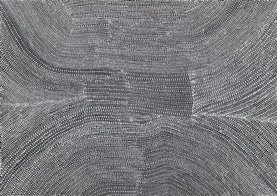 Bush Onion by Nancy Napangardi Martin