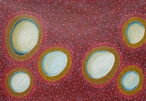 Claypans after Rain by Sonya Edney