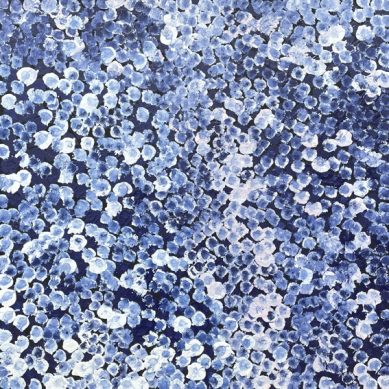 Bush Plum Dreaming by Belinda Golder Kngwarreye