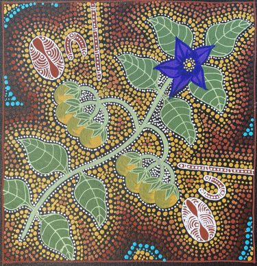 Woman gathering Bush Tomatoes by Marie Ryder