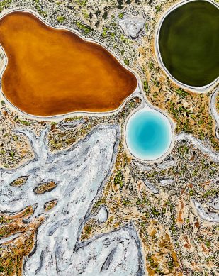 Salt by Rohin Kickett