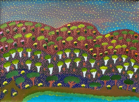Bush Medicine – Landscape by Debbie Beasley