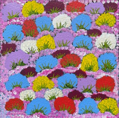 Bush Flowers by Daisy Peterson