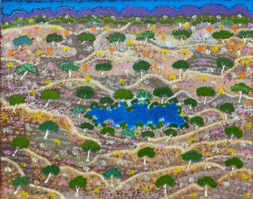 Swamp by Daisy Peterson