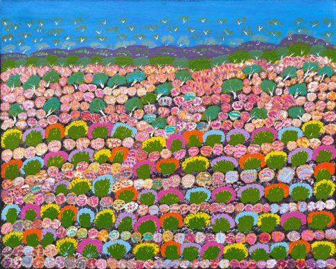 Bush Flowers by Daisy Peterson