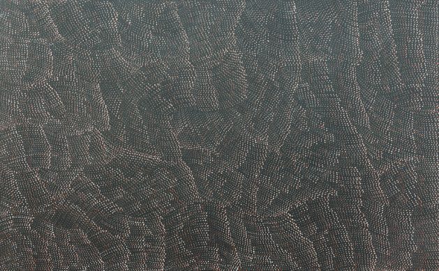 Lily Kelly Napangardi - Artist Bio & Artworks - Japingka Gallery