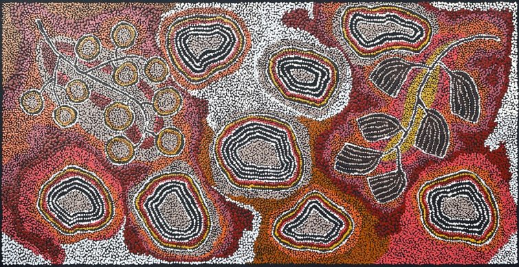 Wangunu and Illi Wild Fig by Alison Munti Riley