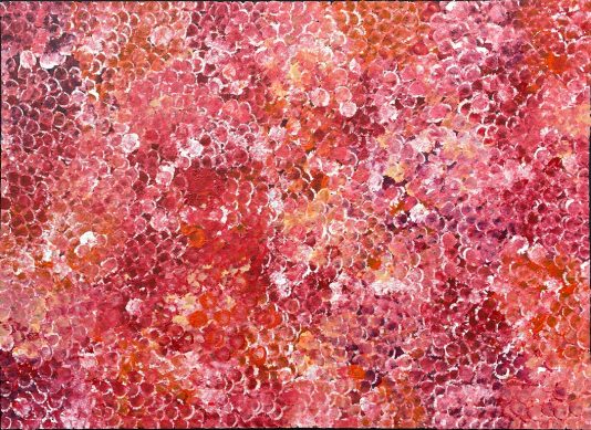 Bush Plum Dreaming by Belinda Golder Kngwarreye