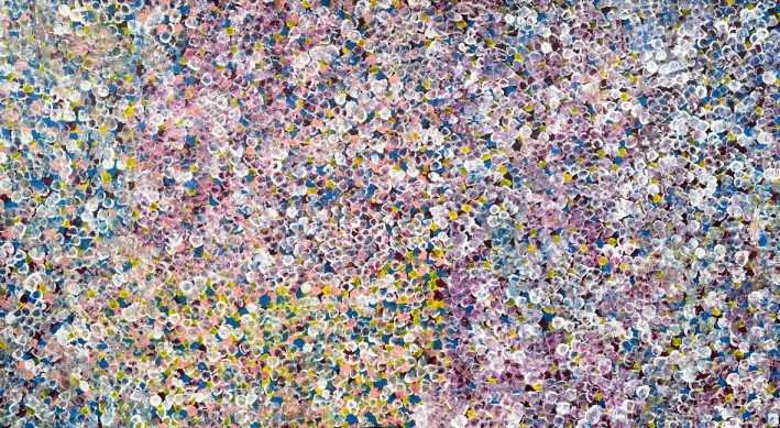 Bush Plum Dreaming by Bessie Petyarre