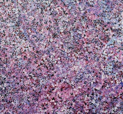 Bush Plum Dreaming by Bessie Petyarre