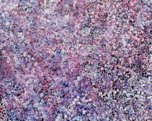 Bush Plum Dreaming by Bessie Petyarre