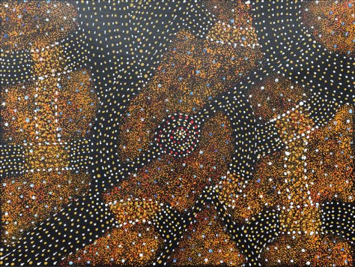 Bush Plum Dreaming by Roseanne Morton Petyarre