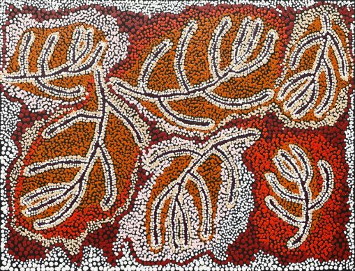 Wangunu – Bush Damper Seed by Alison Munti Riley