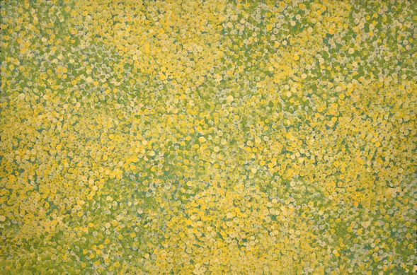 Bush Flowers by Josie Petrick Kemarre