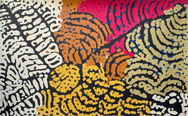 Wapirti – White Bush Potato by Lorna Napurrula Fencer