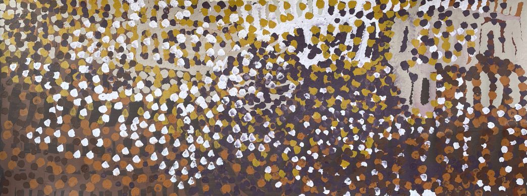 Wapirti – White Bush Potato by Lorna Napurrula Fencer