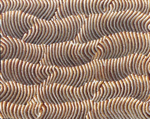 Tali – Sand Dunes by Maureen Hudson Nampijinpa
