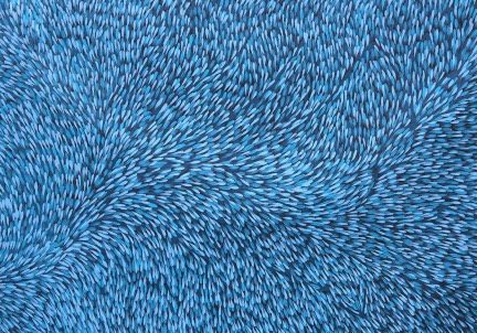 Gloria-Petyarre-Bush-Medicine-Leaves